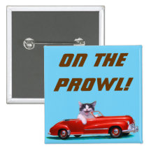Chaton dans un convertible rouge badges
