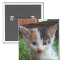 Chaton de ferme badges publicitaires
