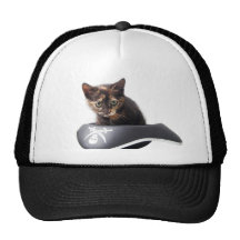 Chaton de pirate informatique casquette
