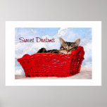 Chaton de sommeil dans le panier rouge lumineux poster