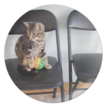 chaton tigré de plat noir de chaise assiette pour soirée