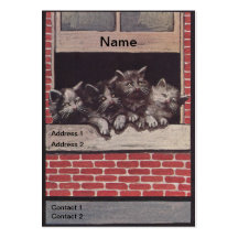 Chats dans le cru de fenêtre modèle de carte de visite