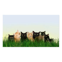 Chats de Kitty dans l'herbe cartes de visite