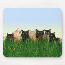Chats de Kitty dans l'herbe tapis de souris