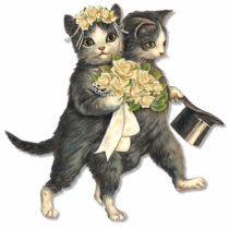 Chats de mariage