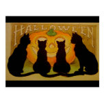 Chats noirs vintages et Jack O'Lantern de Hallowee Carte Postale