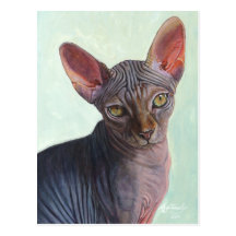 Chats Sunitha de chat de sphinx de Sphynx Carte Postale