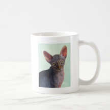 Chats Sunitha de chat de sphinx de Sphynx Tasse À Café