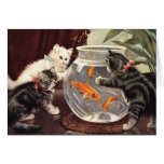 Chats vintages et carte pour notes de poisson roug