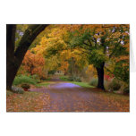 Chemin à tomber carte