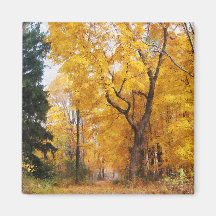 Chemin d'automne aimants pour réfrigérateur