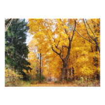 Chemin d'automne bristols