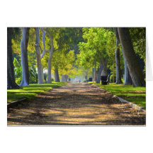 Chemin paisible cartes de vœux
