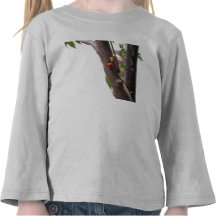 Chemise de douille d'enfant en bas âge de coccinel t-shirt