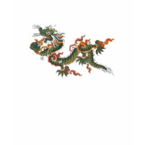 Chemise de dragon t-shirts