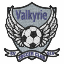 Chemise d'entraîneur de Valkyrie Polo Avec Broderie