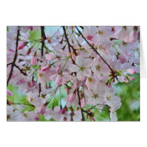 cherry_blossom_card kaarten