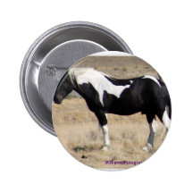 Cheval Badges
