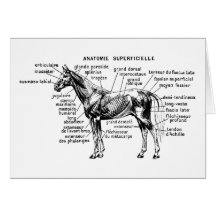 Cheval Carte