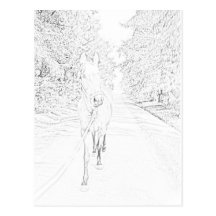cheval carte postale