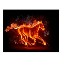 cheval carte postale