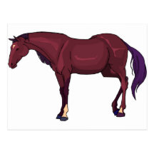 cheval carte postale