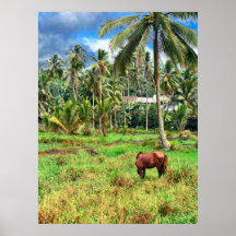 Cheval dans un pâturage affiche