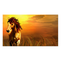 Cheval de matin cartes de visite