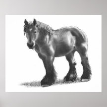 Cheval de trait belge au crayon : Art à main levée Posters