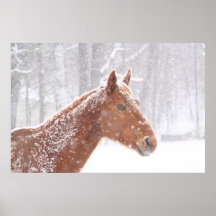 cheval d'hiver poster