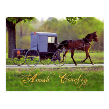 Cheval et avec des erreurs amish, Lancaster, PA Carte Postale