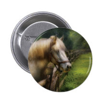Cheval - étalon blanc pin's