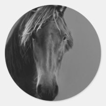 Cheval fauve autocollants ronds