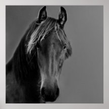 Cheval fauve posters