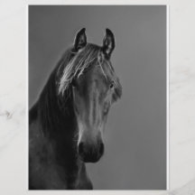 Cheval fauve prospectus