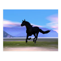 Cheval foncé carte postale