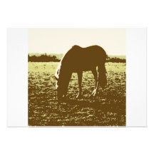 Cheval frôlant l'art de bruit bristol personnalisé