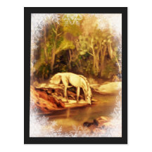Cheval mystique carte postale