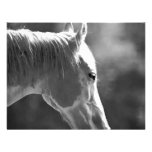 Cheval noir et blanc d'art de bruit invitations personnalisées