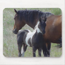 Cheval - peignez le cheval