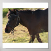 Cheval Posters