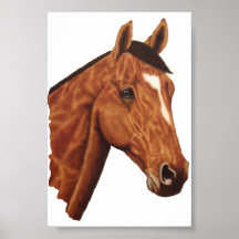 Cheval Posters