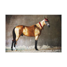 Cheval sautant coloré toile tendue