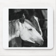 cheval sauvage tapis de souris