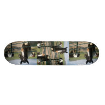 Cheval Sk8 fou Planches À Roulettes Customisées