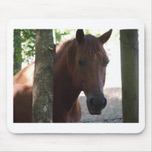 Cheval Tapis De Souris