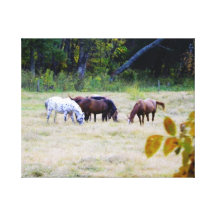Cheval Toile Tendue Sur Châssis
