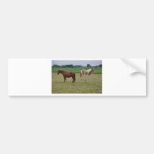 Chevaux Autocollants Pour Voiture