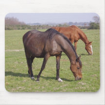 Chevaux - Chevaux Tapis De Souris