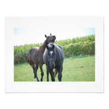 Chevaux dans l'amour faire-part